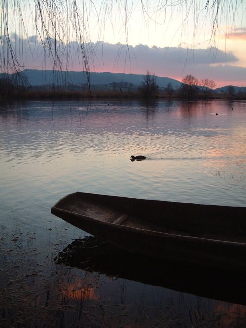 Riserva Regionale Lago di Posta Fibreno